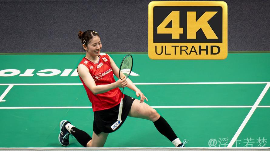 苏迪曼杯小组赛:日本对阵马来西亚 2 苏迪曼杯小组赛:日本对阵马来西亚 2